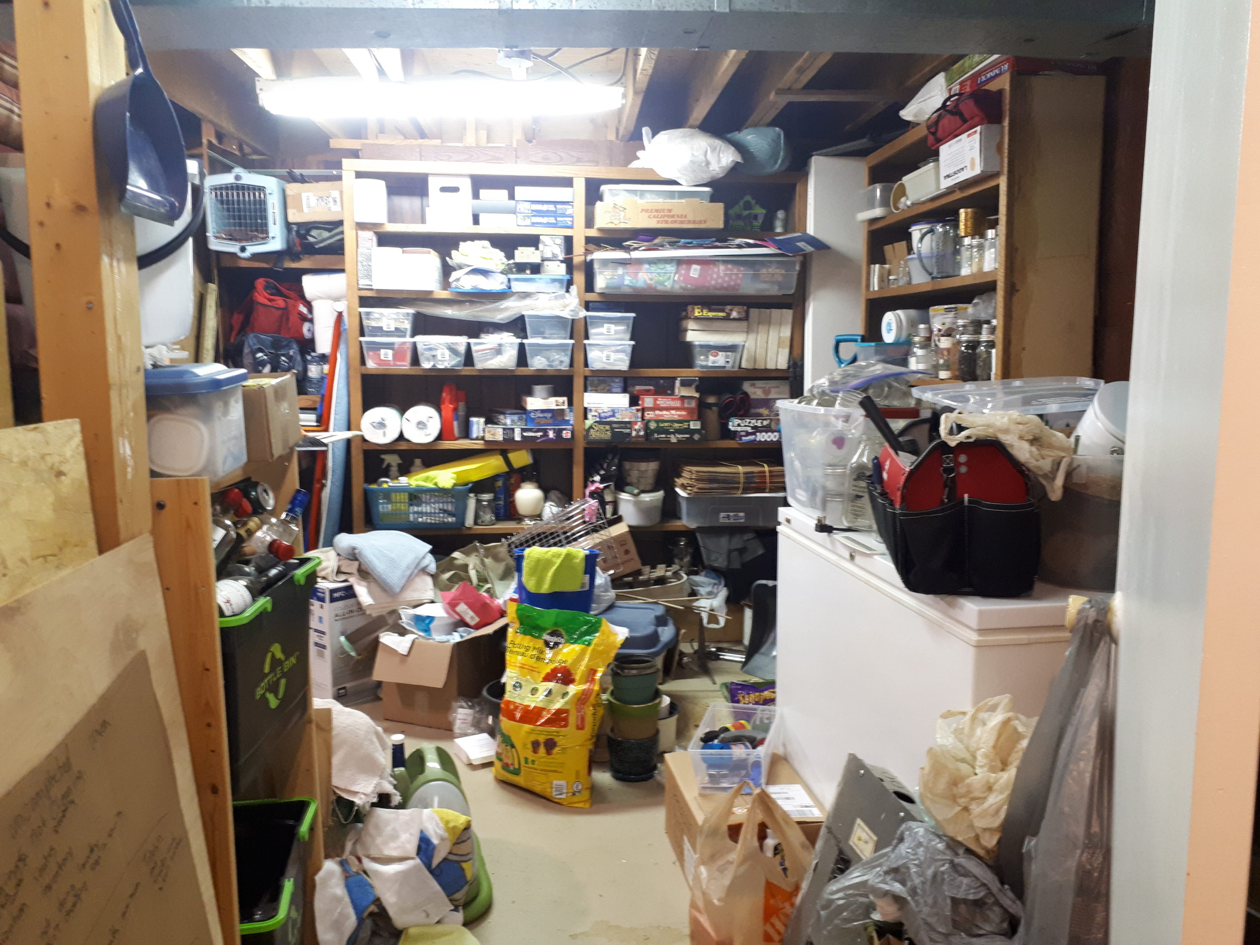 Basements and clutter and bins, oh my! (Basement organizing ideas)